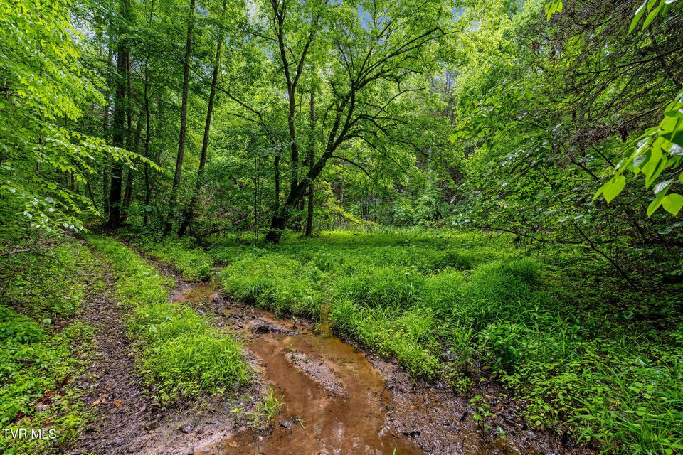 Photo #14: 2039 War Valley Road