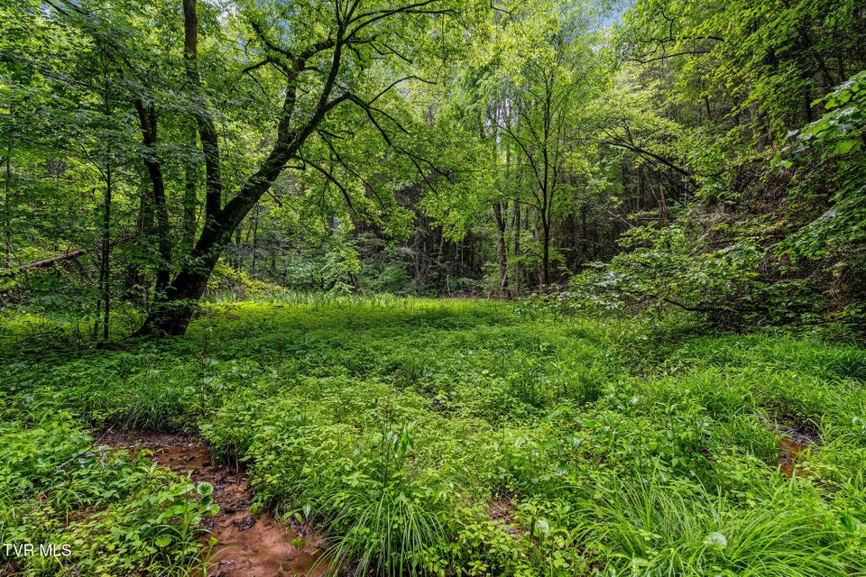 Photo #15: 2039 War Valley Road