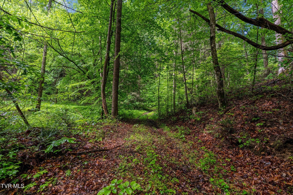 Photo #17: 2039 War Valley Road