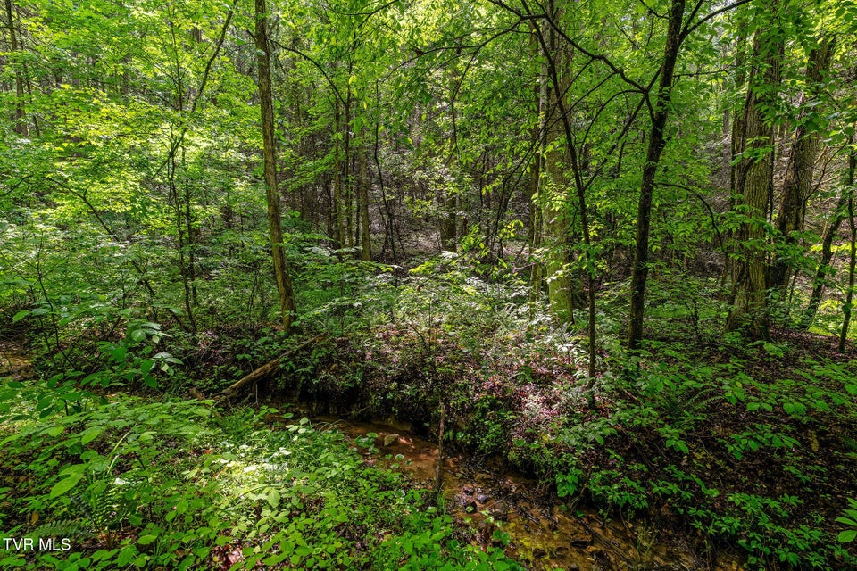 Photo #19: 2039 War Valley Road
