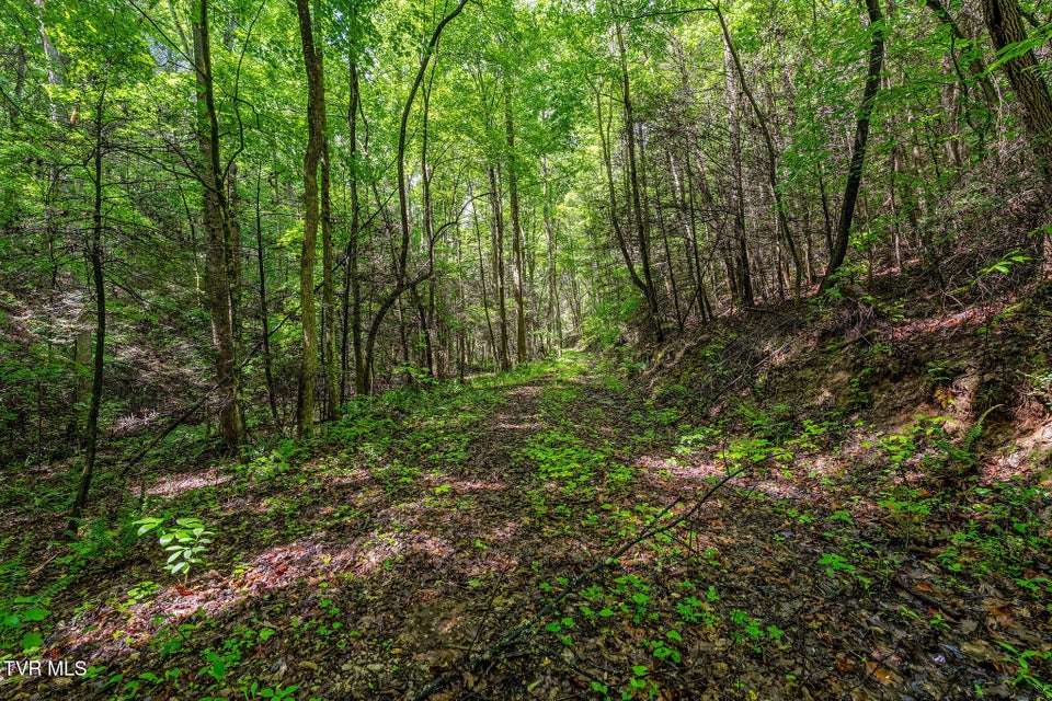 Photo #20: 2039 War Valley Road
