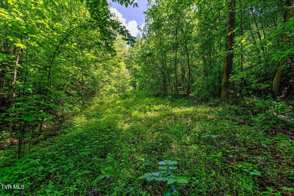 Photo #27: 2039 War Valley Road