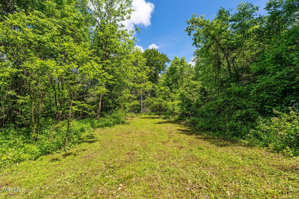 Photo #36: 2039 War Valley Road