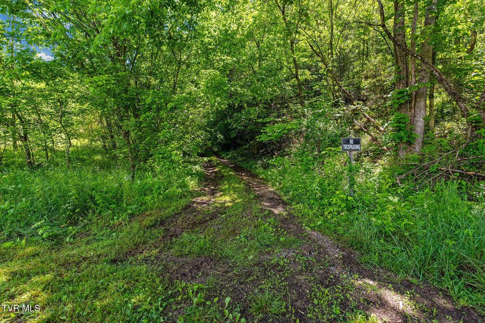 Photo #41: 2039 War Valley Road