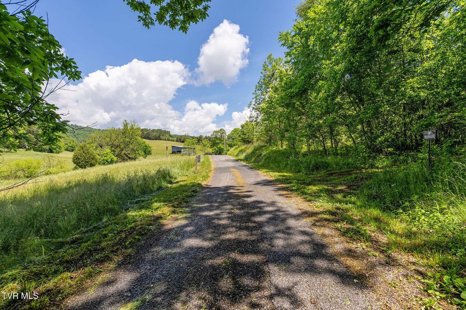 Photo #44: 2039 War Valley Road