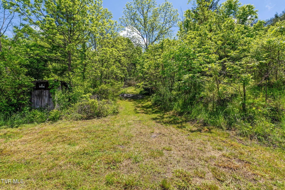 Photo #42: 2039 War Valley Road