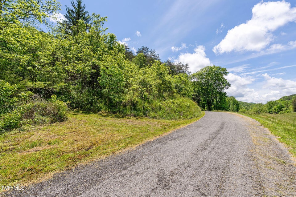 Photo #43: 2039 War Valley Road