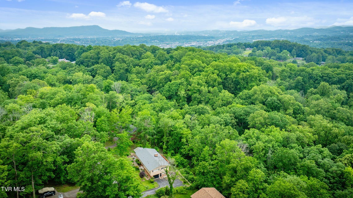 Photo #46: 4534 Brookridge Drive