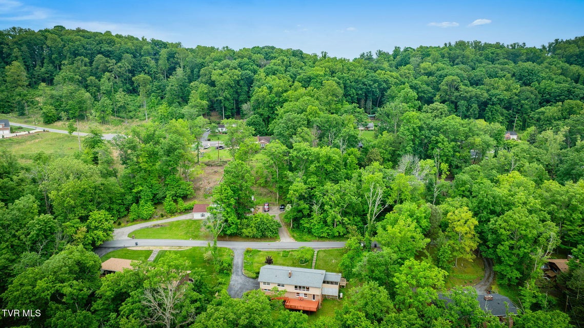 Photo #47: 4534 Brookridge Drive