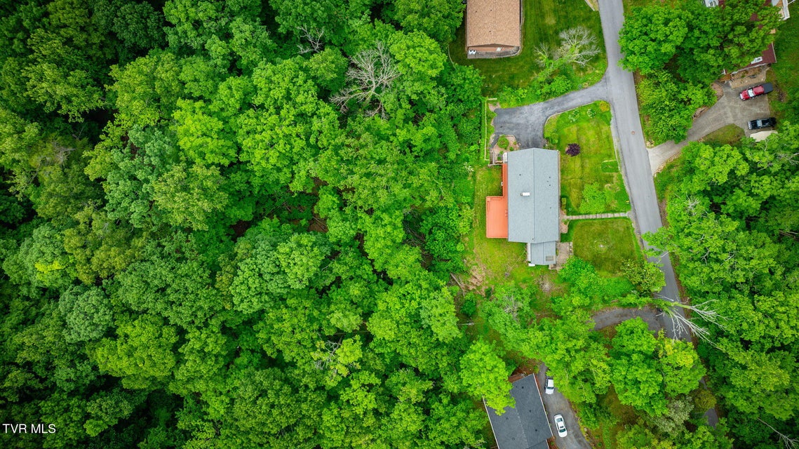 Photo #49: 4534 Brookridge Drive