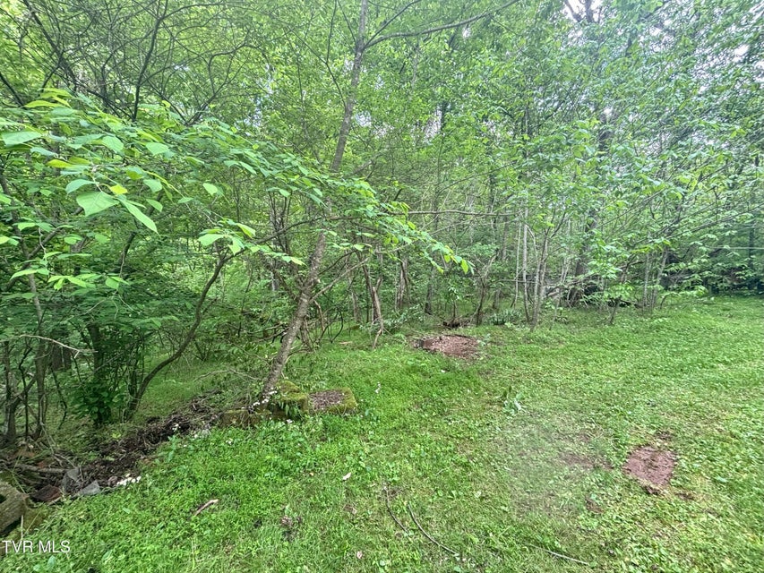 Photo #43: 3719 Red Hill Road