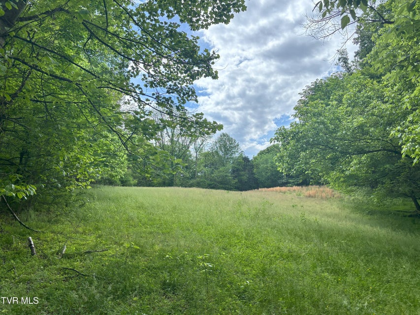 Photo #44: 3719 Red Hill Road