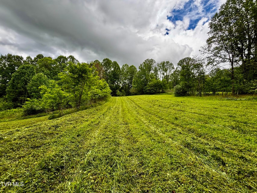 Photo #3: 808 Waddell Road