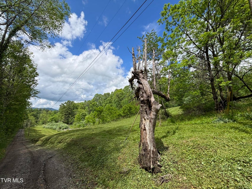 Photo #8: 808 Waddell Road
