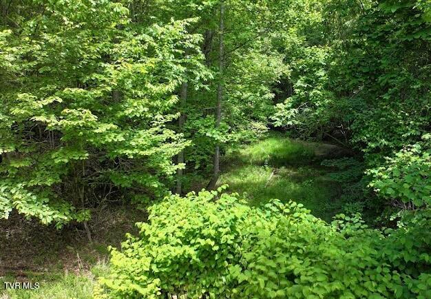 Photo #4: Tbd Buffalo Hollow Road