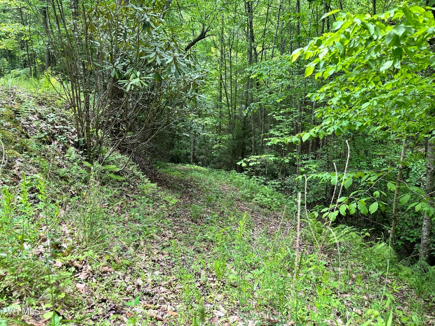 Photo #15: Tbd Buffalo Hollow Road
