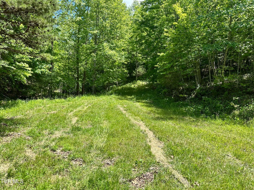 Photo #21: Tbd Buffalo Hollow Road