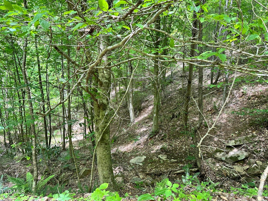 Photo #22: Tbd Buffalo Hollow Road