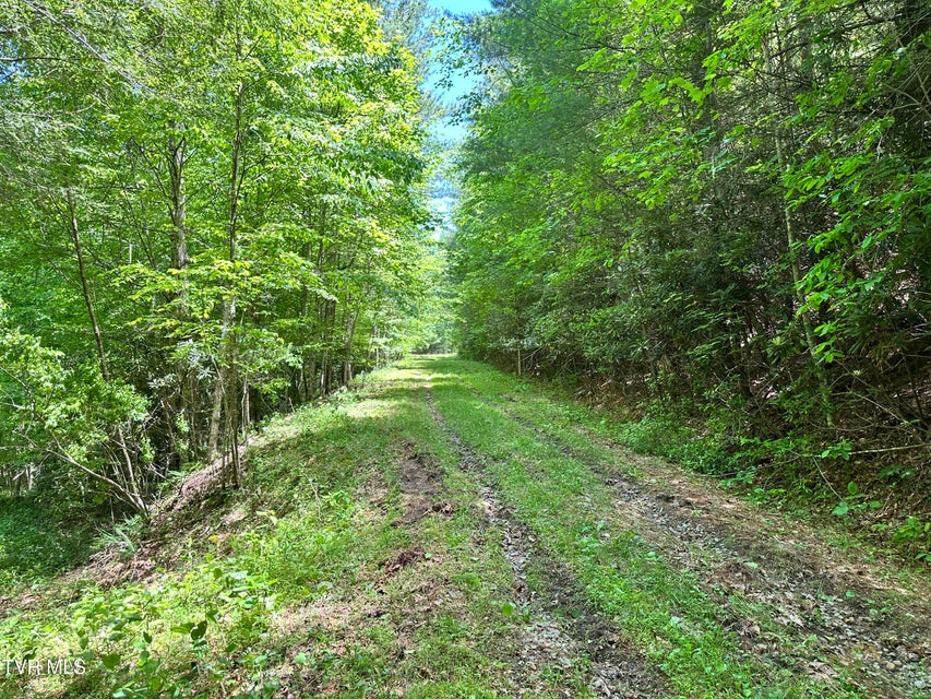 Photo #24: Tbd Buffalo Hollow Road