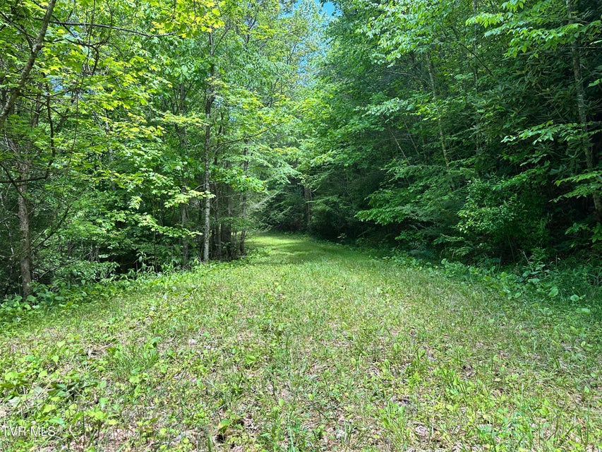 Photo #26: Tbd Buffalo Hollow Road