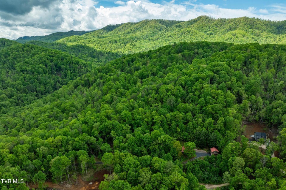 Photo #41: 563 Longview Private Drive