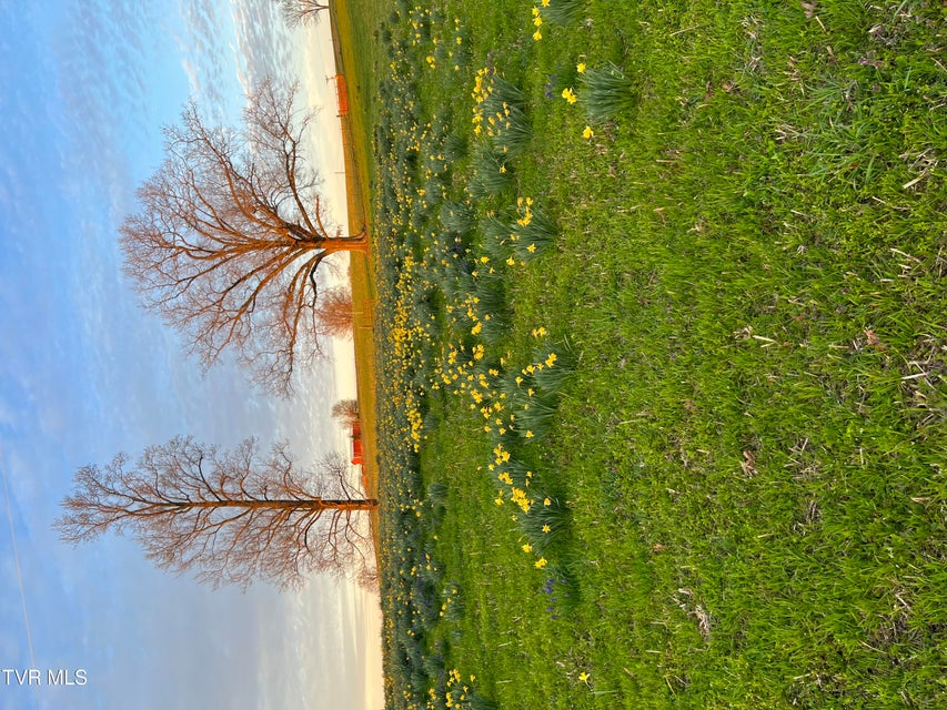Photo #28: 640 Pates Hill Road