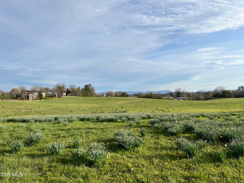 Photo #29: 640 Pates Hill Road