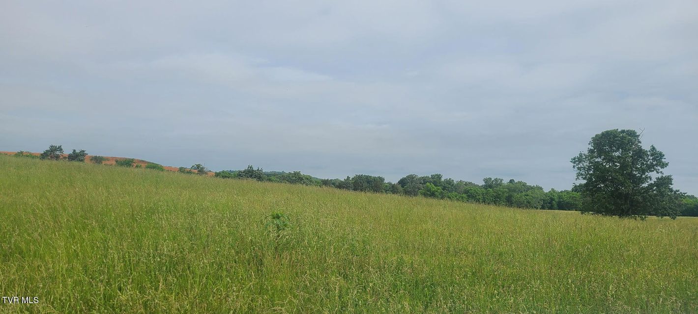 Photo #2: Lot 5 Valley Home Road
