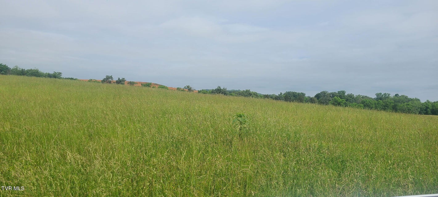 Photo #3: Lot 5 Valley Home Road