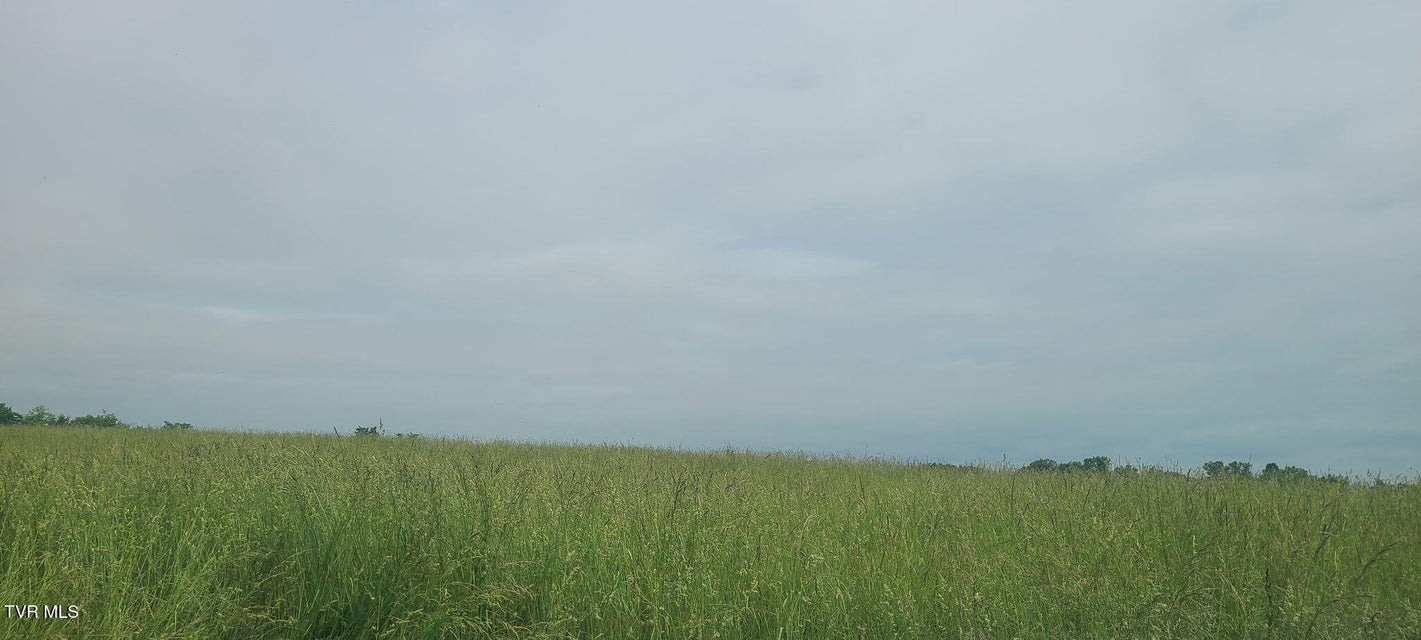 Photo #4: Lot 5 Valley Home Road