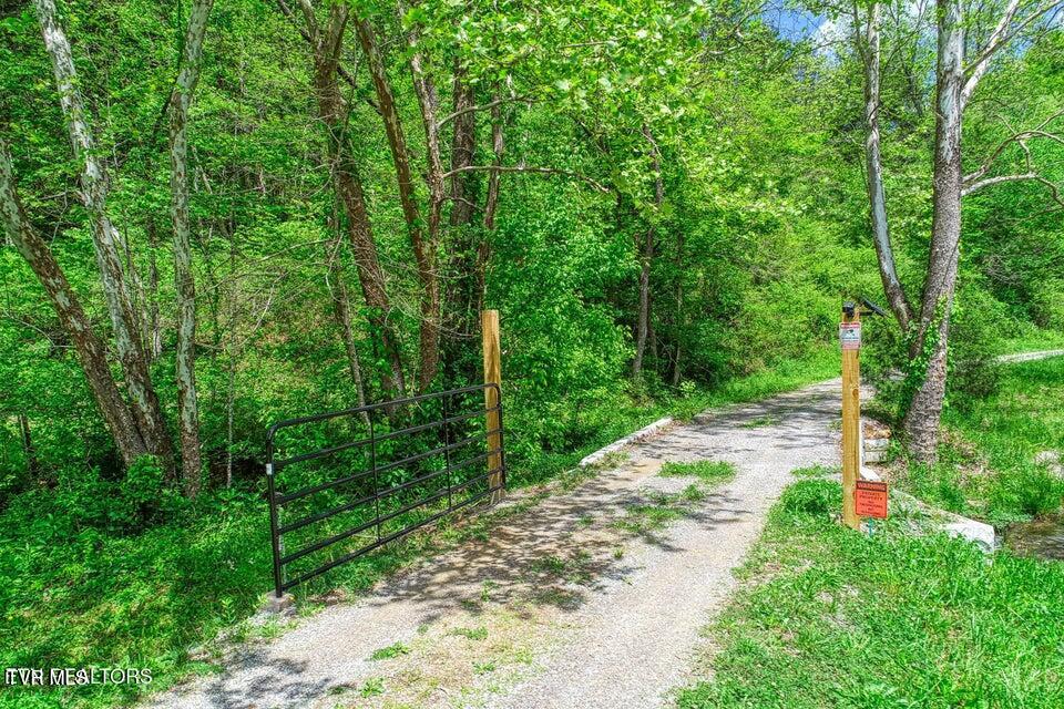 Photo #50: 833 Duck Creek Road
