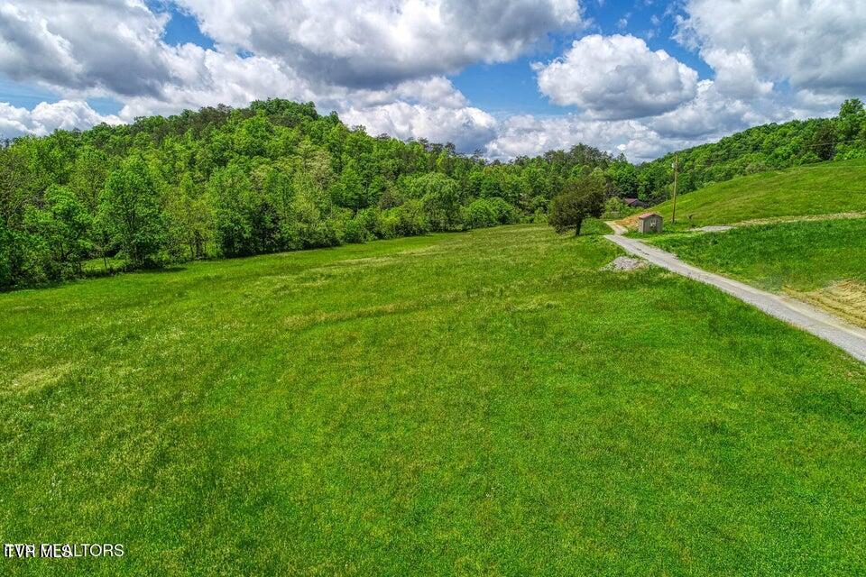 Photo #54: 833 Duck Creek Road