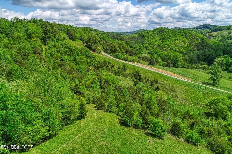 Photo #55: 833 Duck Creek Road