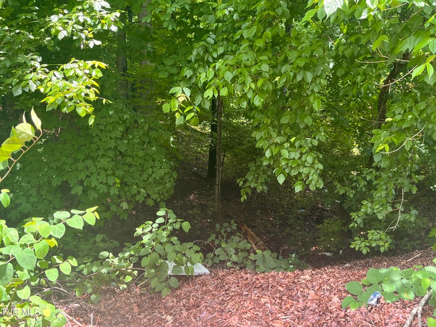 Photo #2: Tbd Northwood Ave