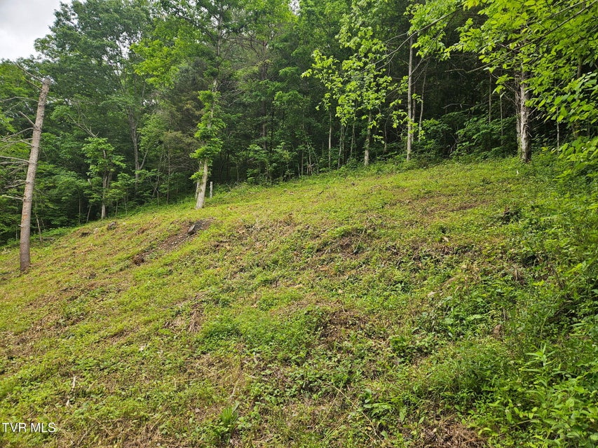 Photo #4: 8300 Warrensburg Road Road