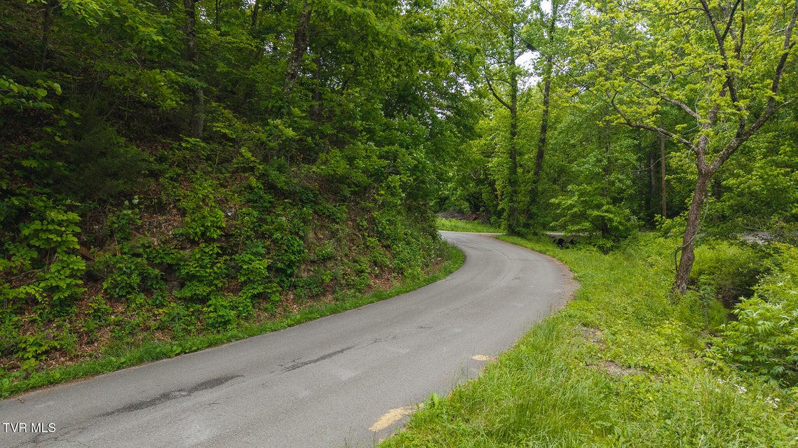 Photo #19: 0 Avondale Hollow Road