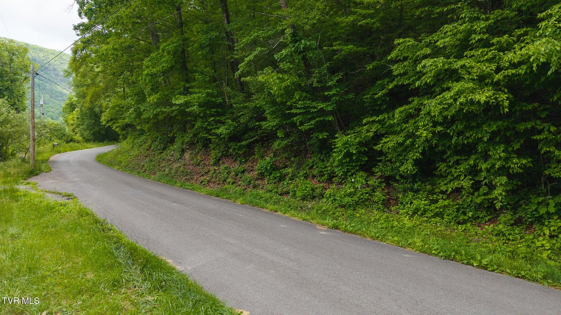 Photo #18: 0 Avondale Hollow Road