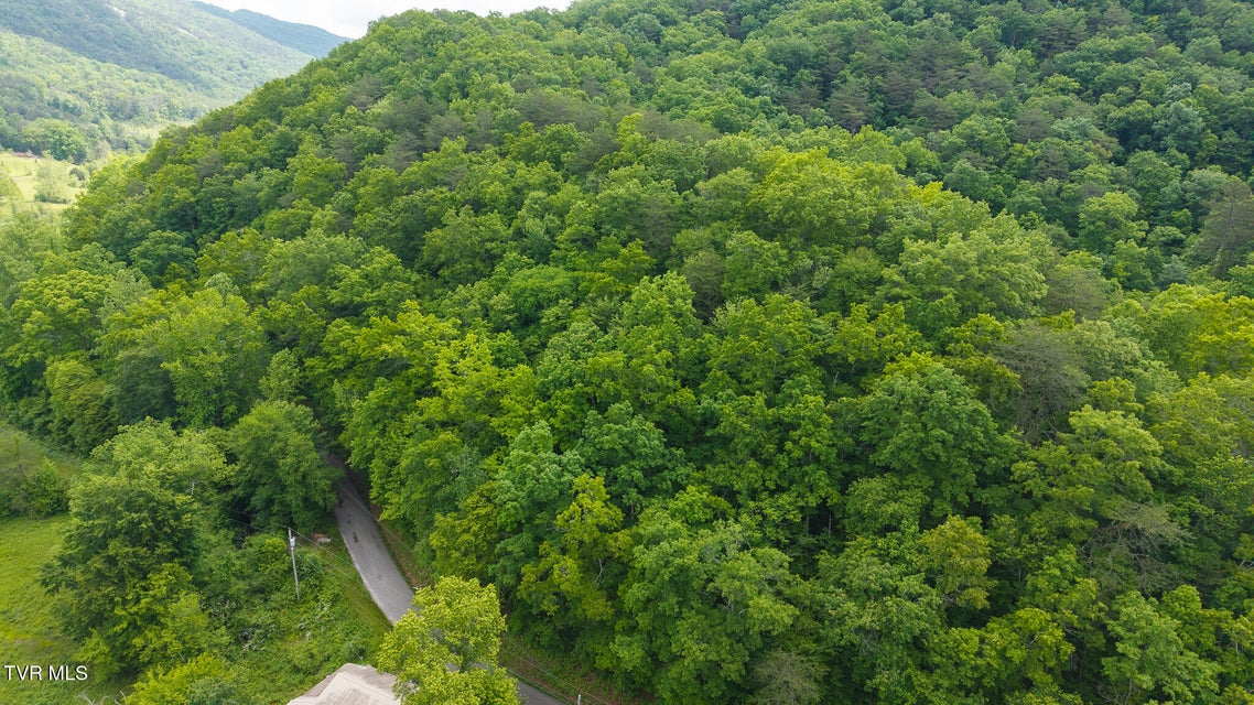 Photo #3: 0 Avondale Hollow Road