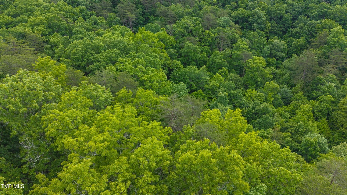 Photo #9: 0 Avondale Hollow Road