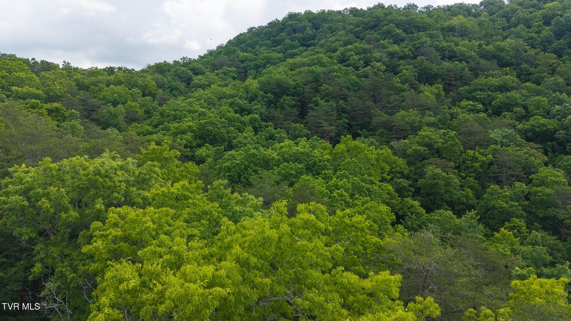Photo #11: 0 Avondale Hollow Road