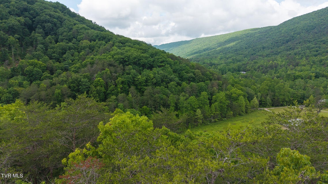 Photo #12: 0 Avondale Hollow Road