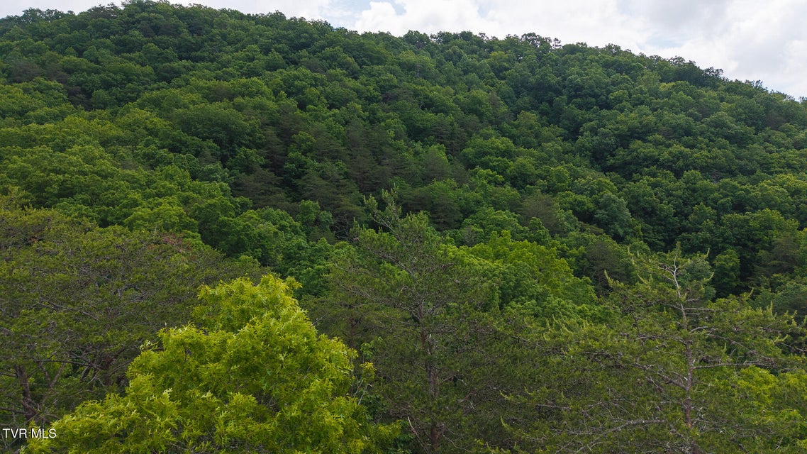 Photo #10: 0 Avondale Hollow Road