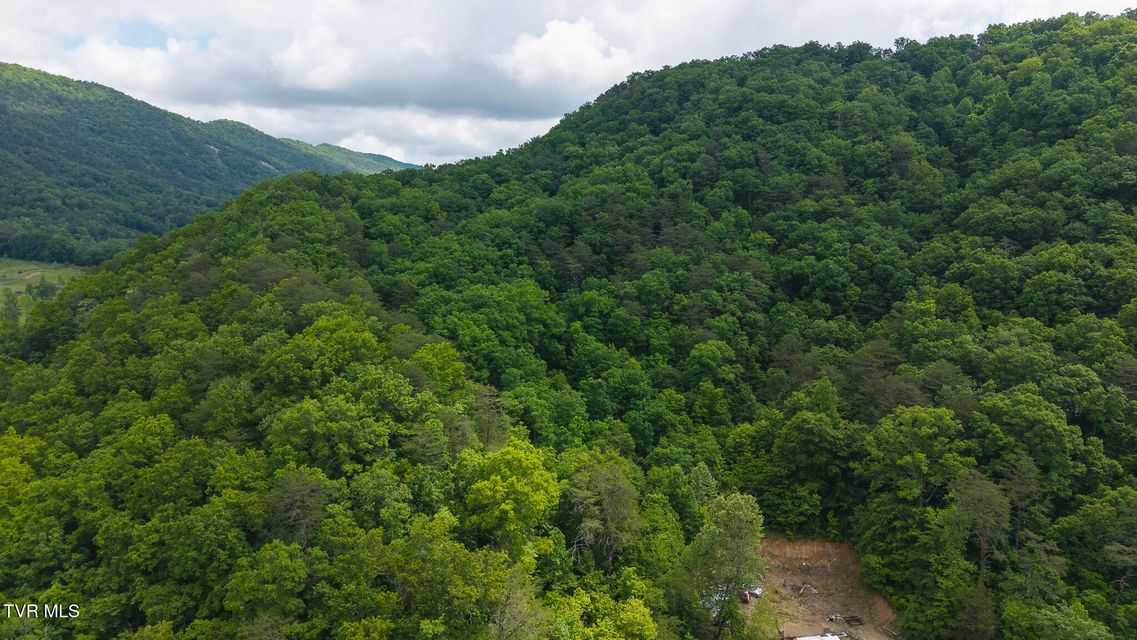 Photo #13: 0 Avondale Hollow Road