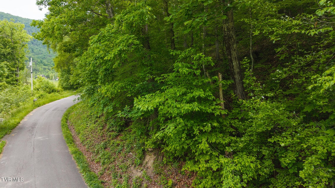 Photo #20: 0 Avondale Hollow Road
