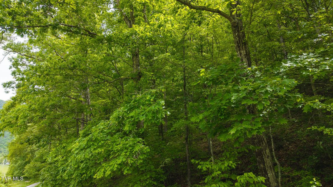 Photo #21: 0 Avondale Hollow Road