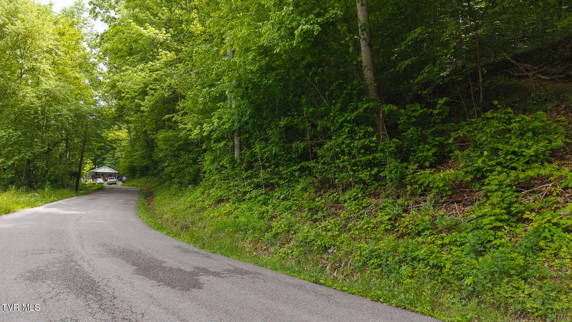 Photo #22: 0 Avondale Hollow Road