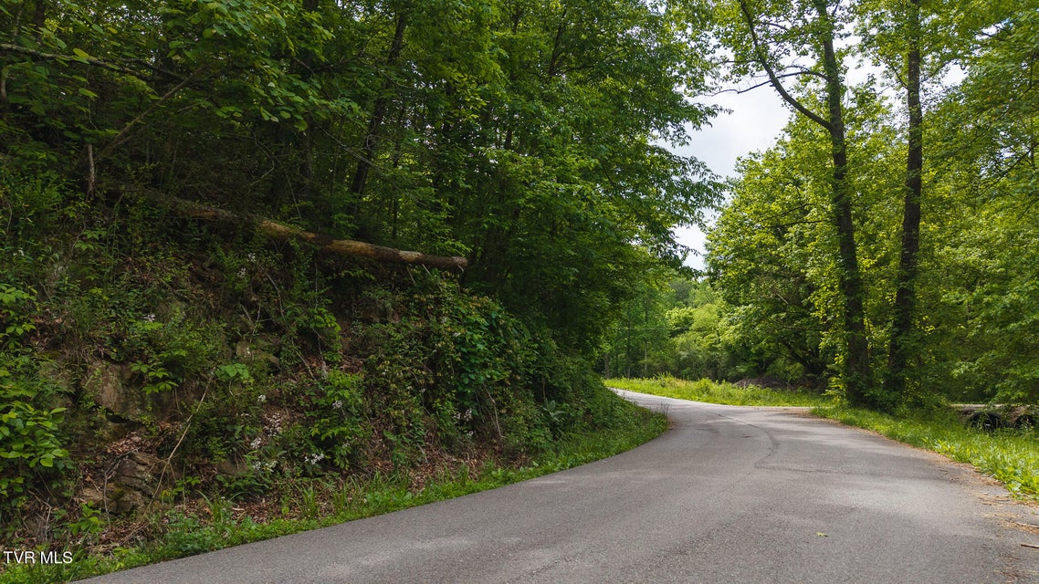 Photo #23: 0 Avondale Hollow Road