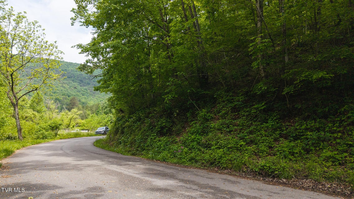 Photo #24: 0 Avondale Hollow Road