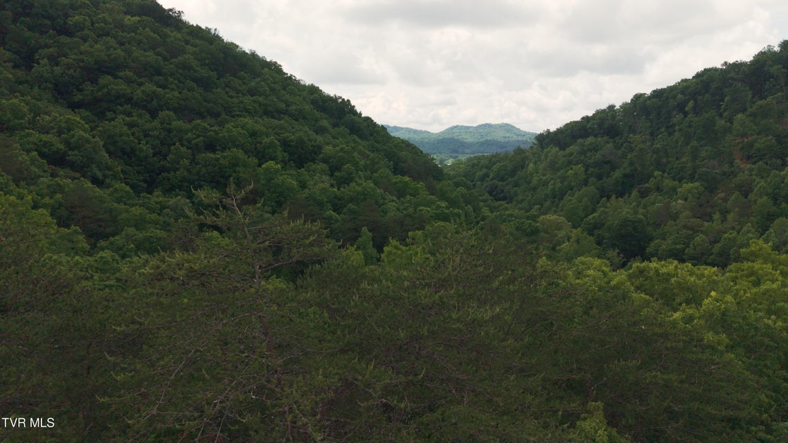 Photo #17: 0 Avondale Hollow Road