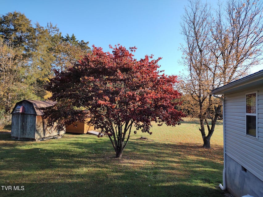 Photo #48: 3742 Beech Grove Road
